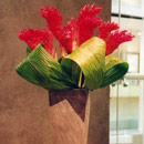 Floral Designs