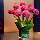 Floral Designs
