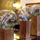 Floral Designs