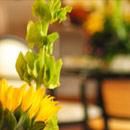 Floral Designs