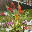 Floral Designs