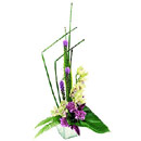 Floral Designs
