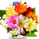Floral Designs