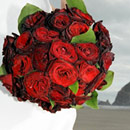 Floral Designs