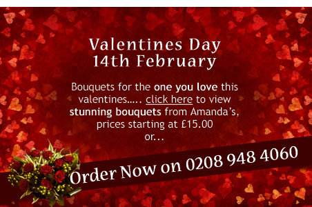 valentines at amandas