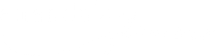 light logo