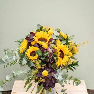 sensational sunflowers