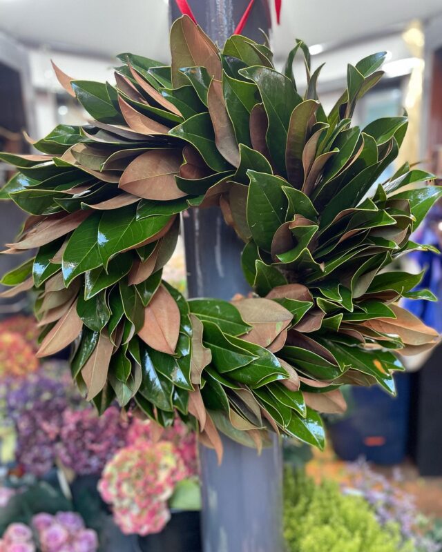 toi toi toiさん 0208 